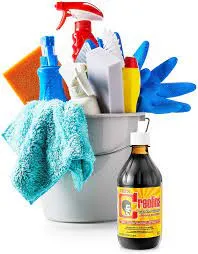 Bucket of cleaning supplies